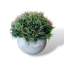 Botany - Table Top Mini Artificial Plants