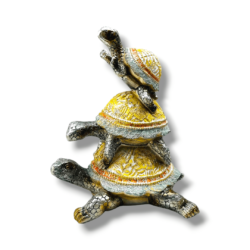 Three Generation Turtle